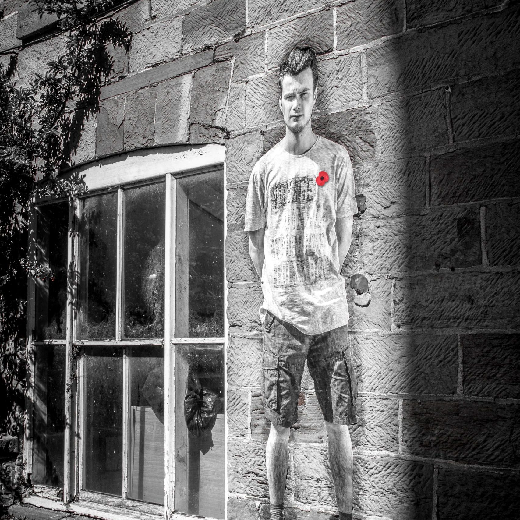 Lambs - An Installation by Andy Mayers