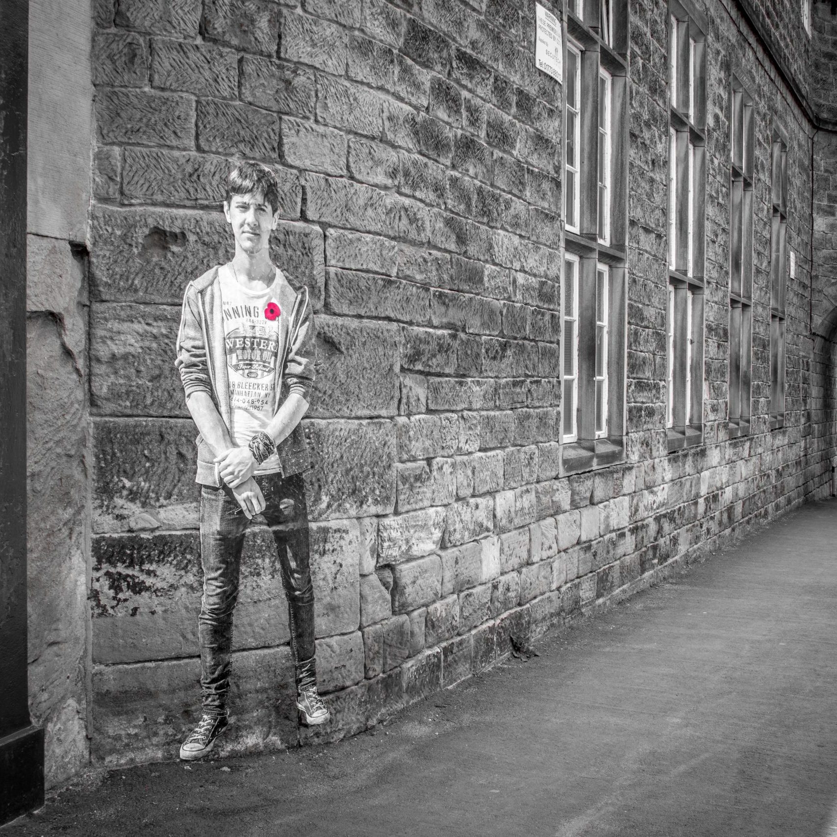 Lambs - An Installation by Andy Mayers