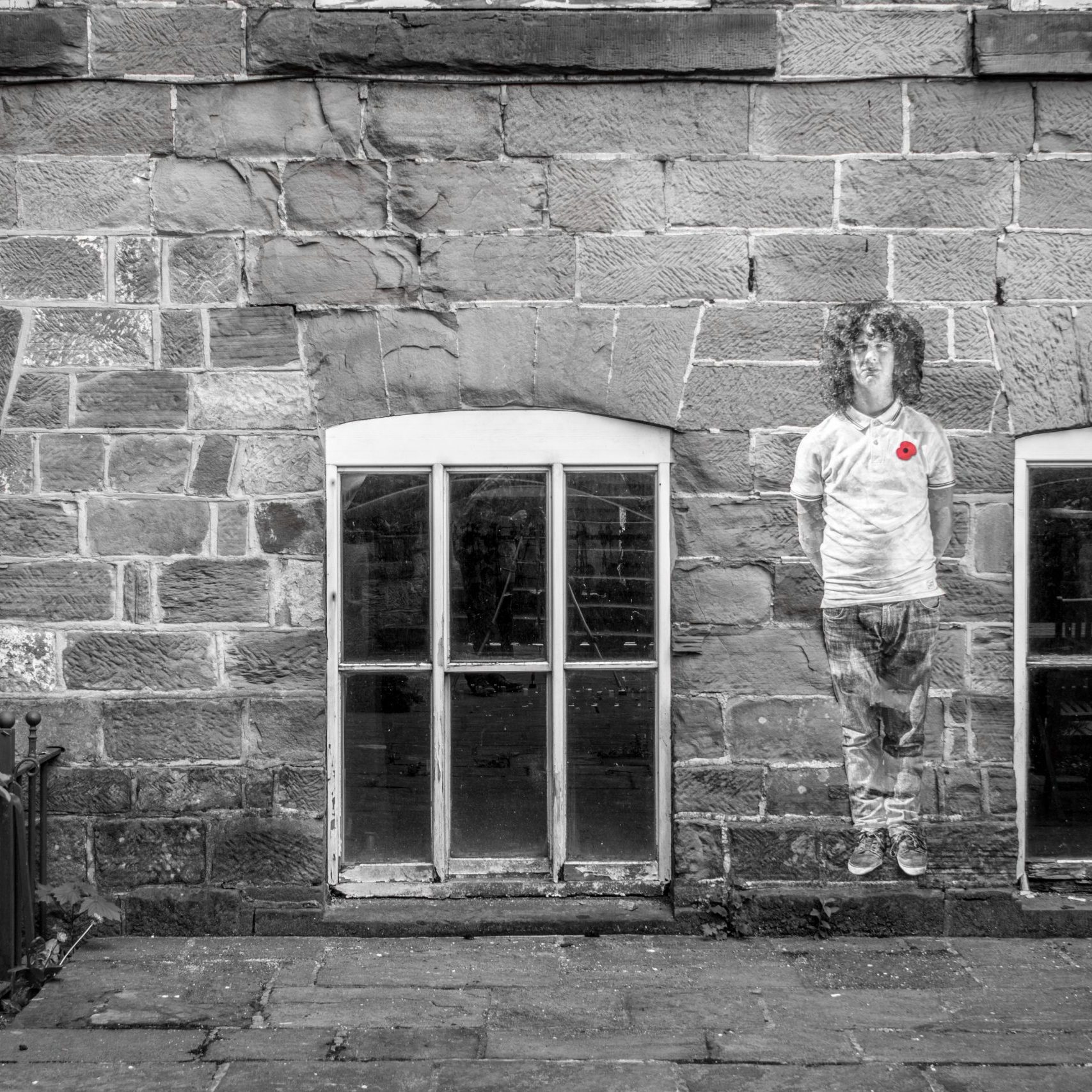 Lambs - An Installation by Andy Mayers