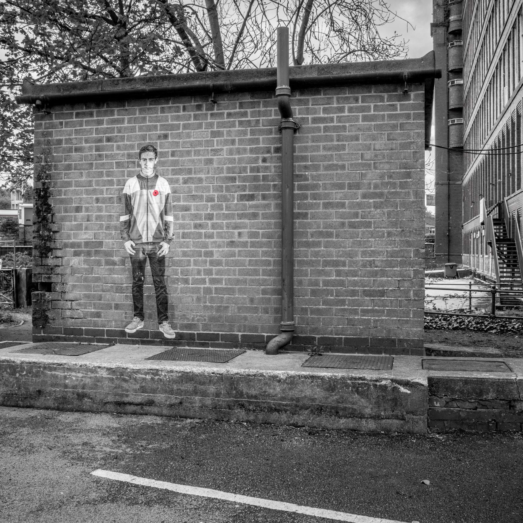 Lambs - An Installation by Andy Mayers