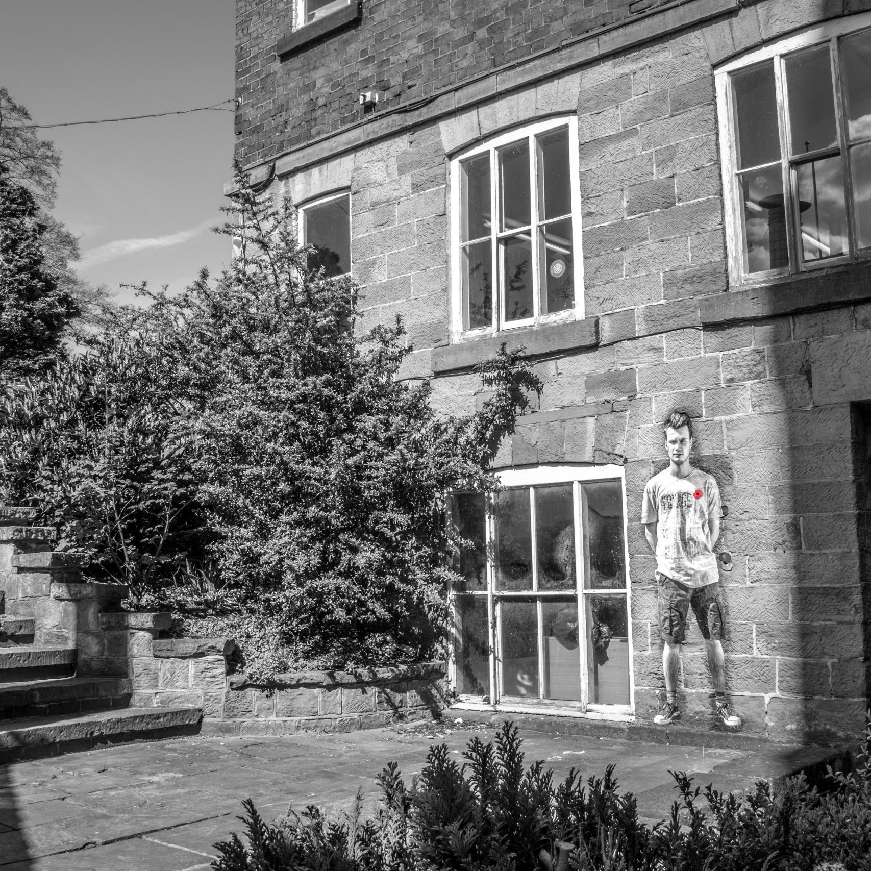 Lambs - An Installation by Andy Mayers