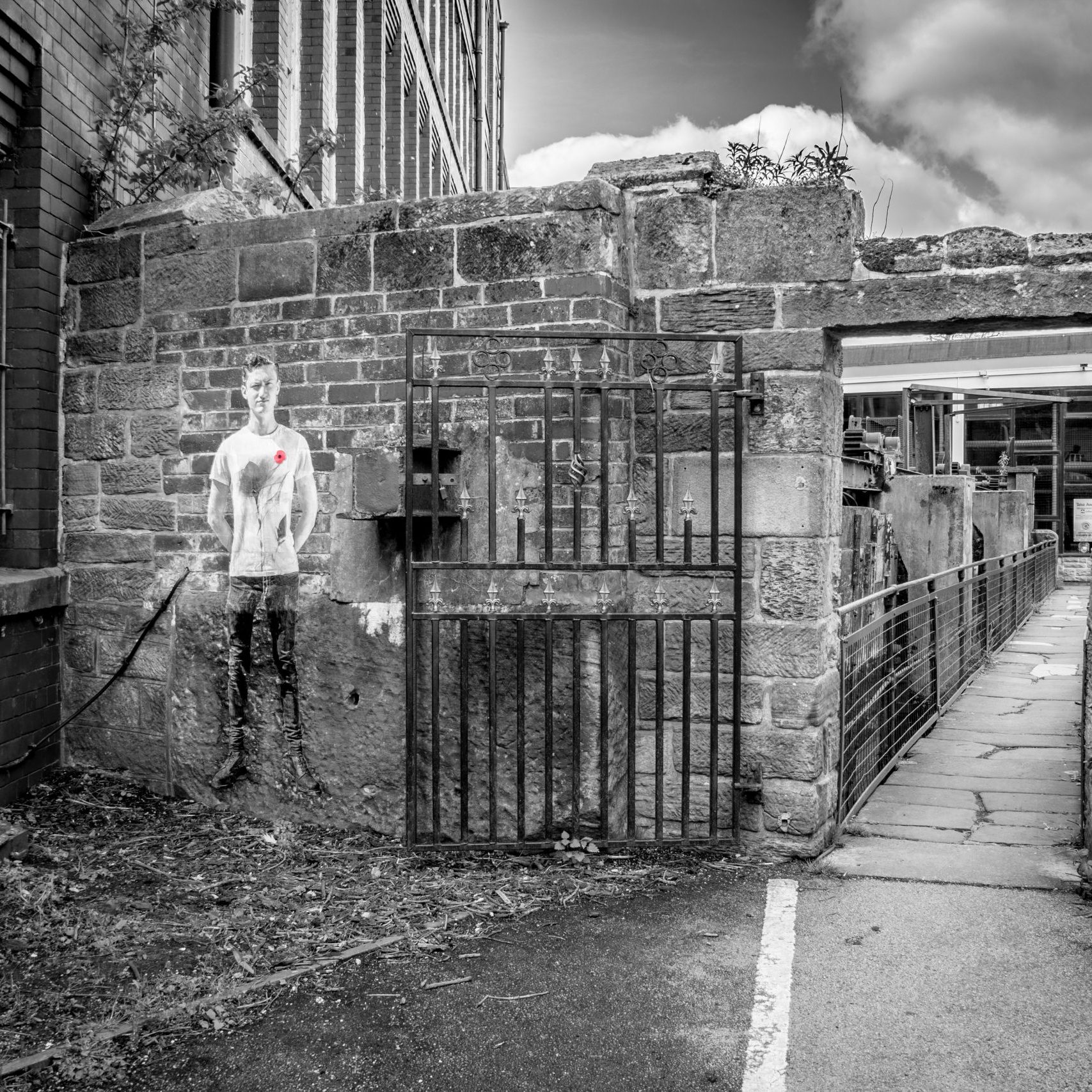 Lambs - An Installation by Andy Mayers