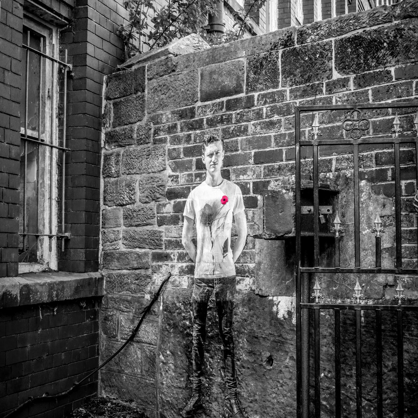 Lambs - An Installation by Andy Mayers