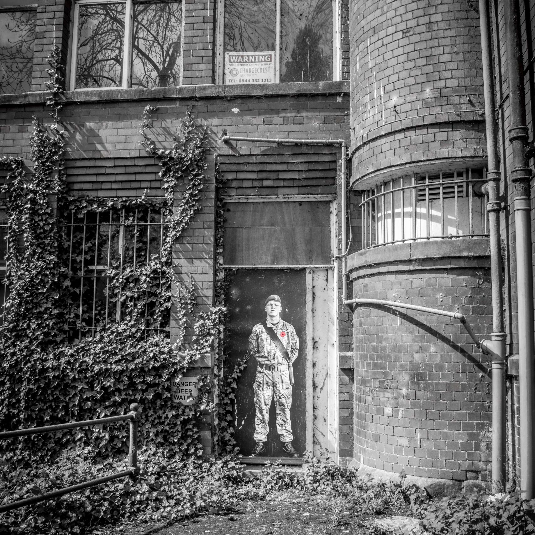 Lambs - An Installation by Andy Mayers