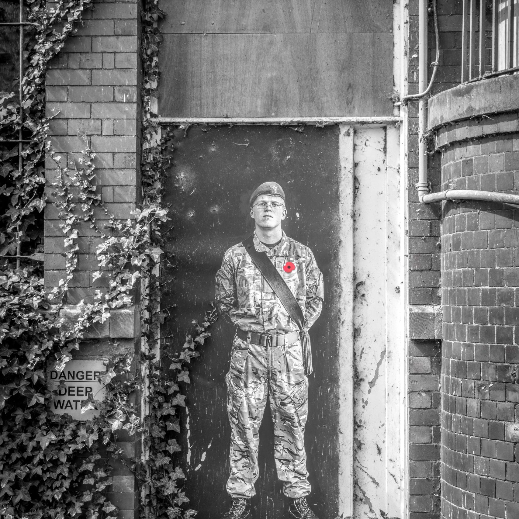 Lambs - An Installation by Andy Mayers