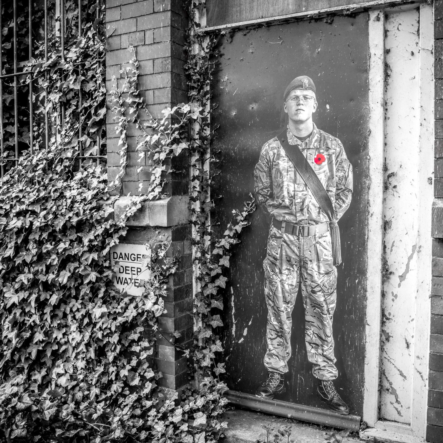 Lambs - An Installation by Andy Mayers