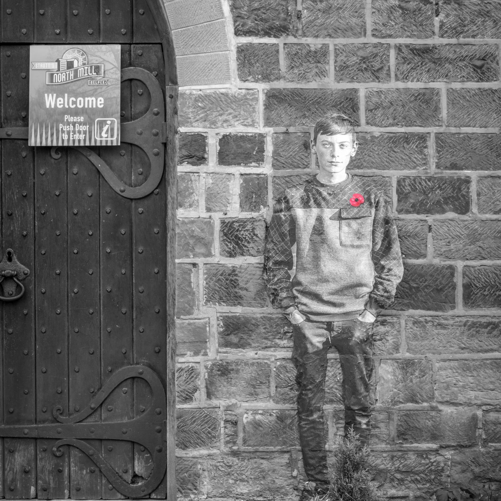 Lambs - An Installation by Andy Mayers