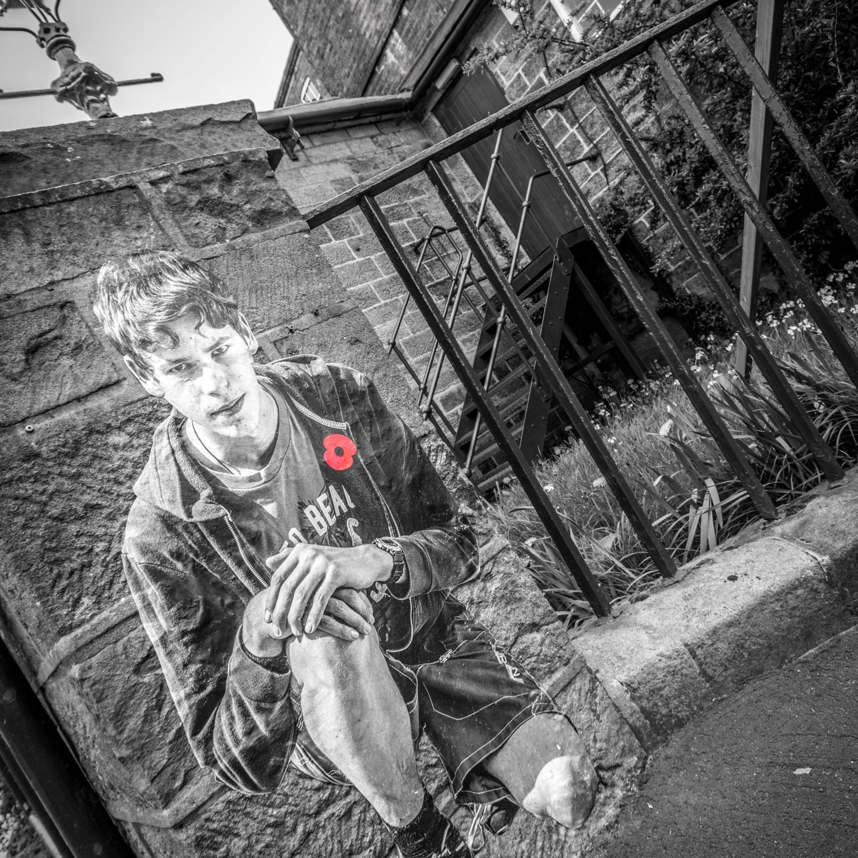 Lambs - An Installation by Andy Mayers