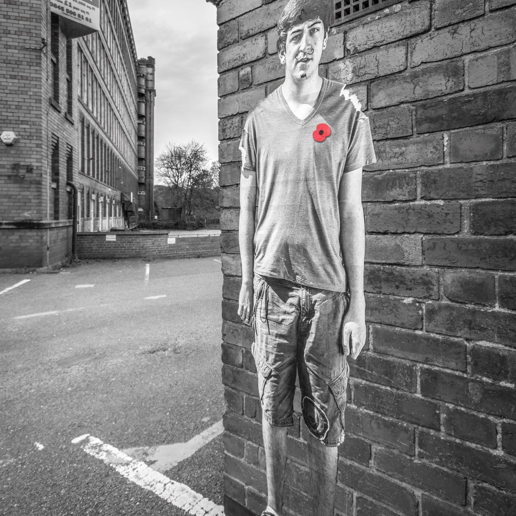 Lambs - An Installation by Andy Mayers