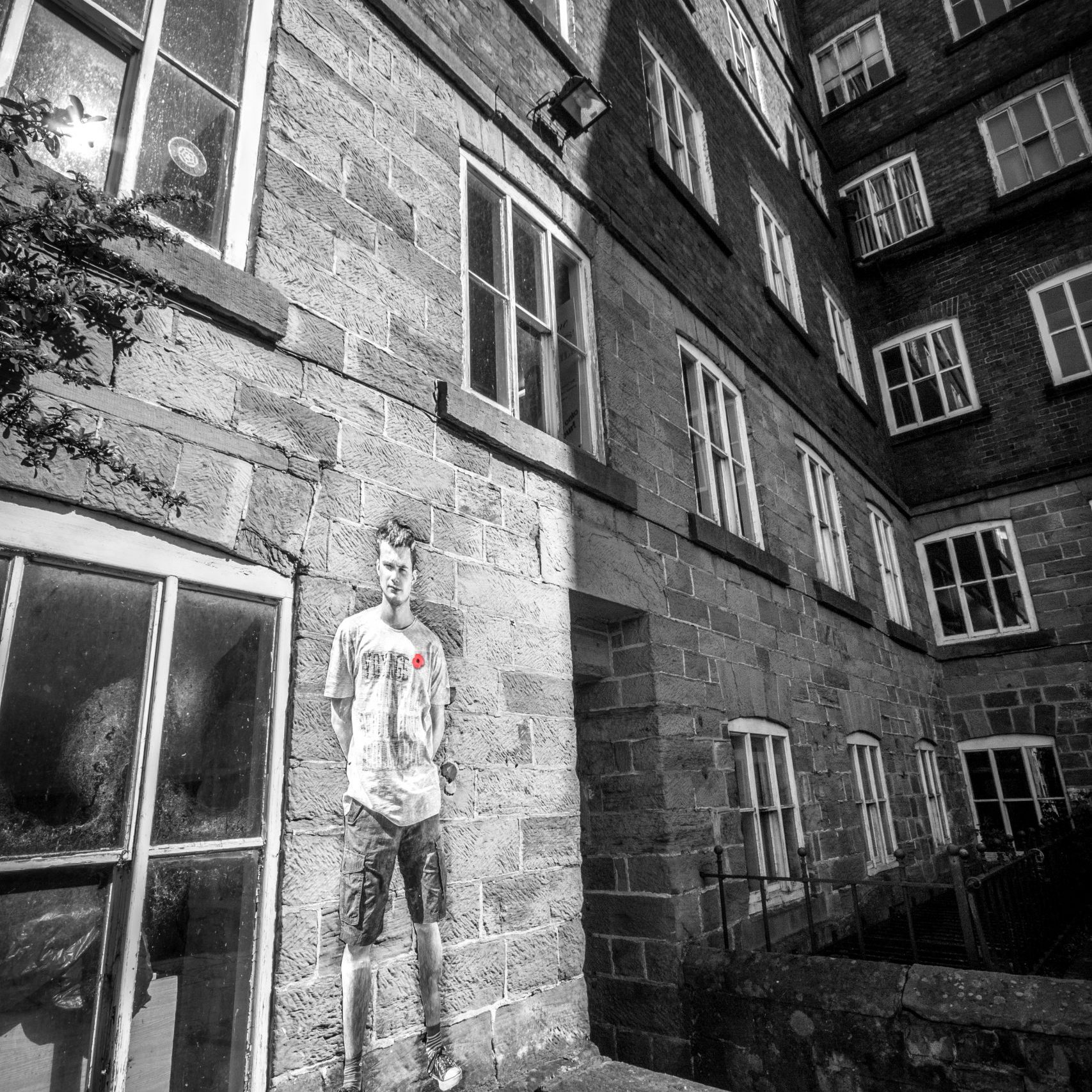 Lambs - An Installation by Andy Mayers