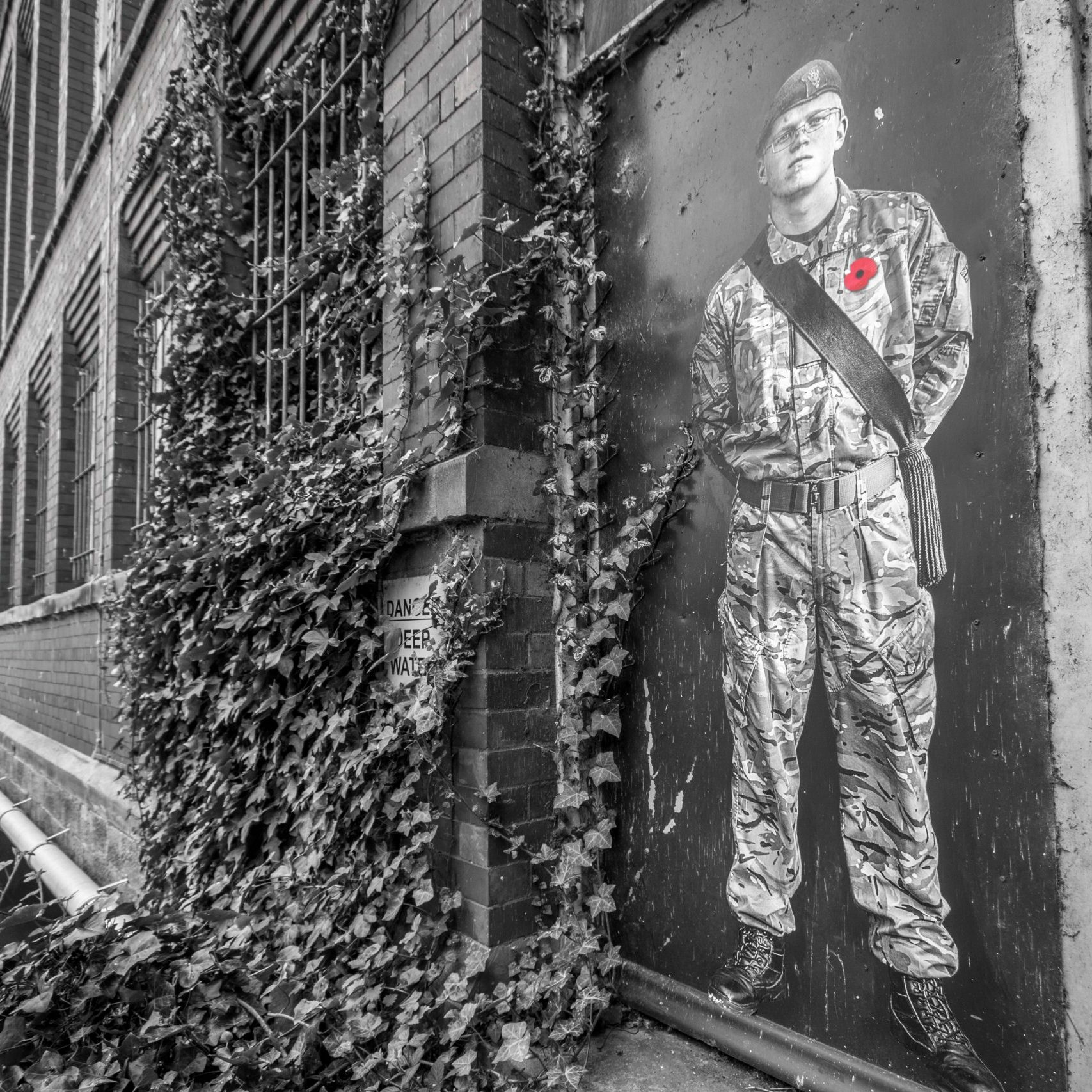 Lambs - An Installation by Andy Mayers