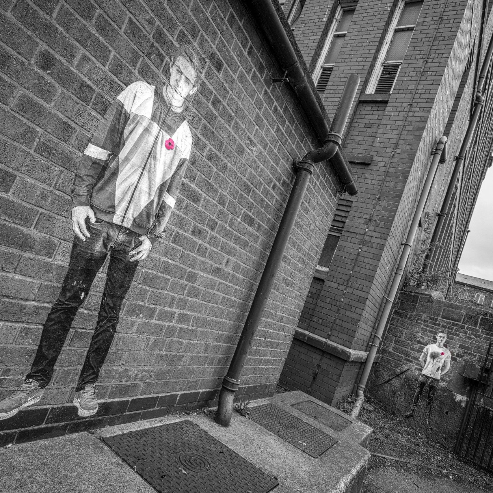 Lambs - An Installation by Andy Mayers