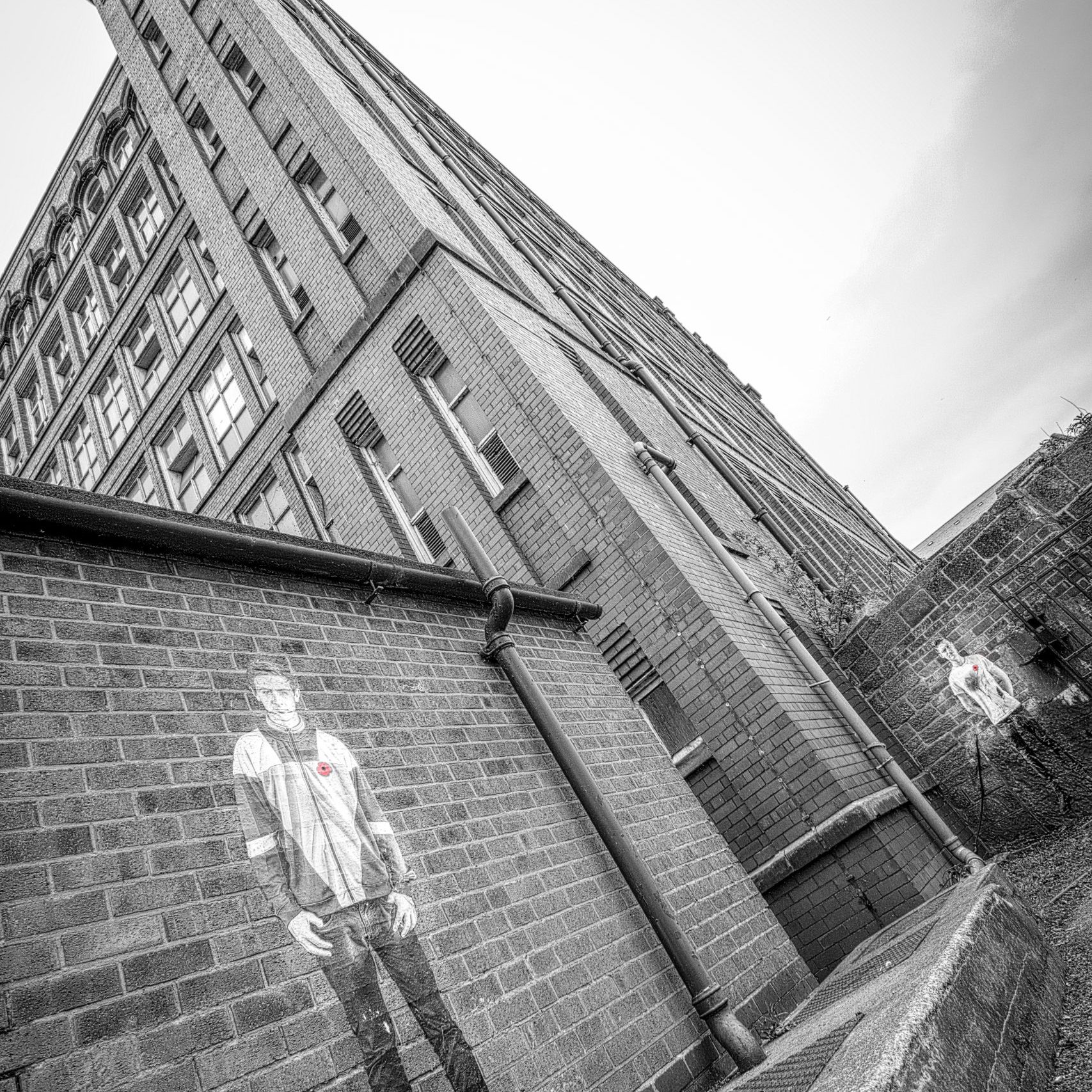 Lambs - An Installation by Andy Mayers