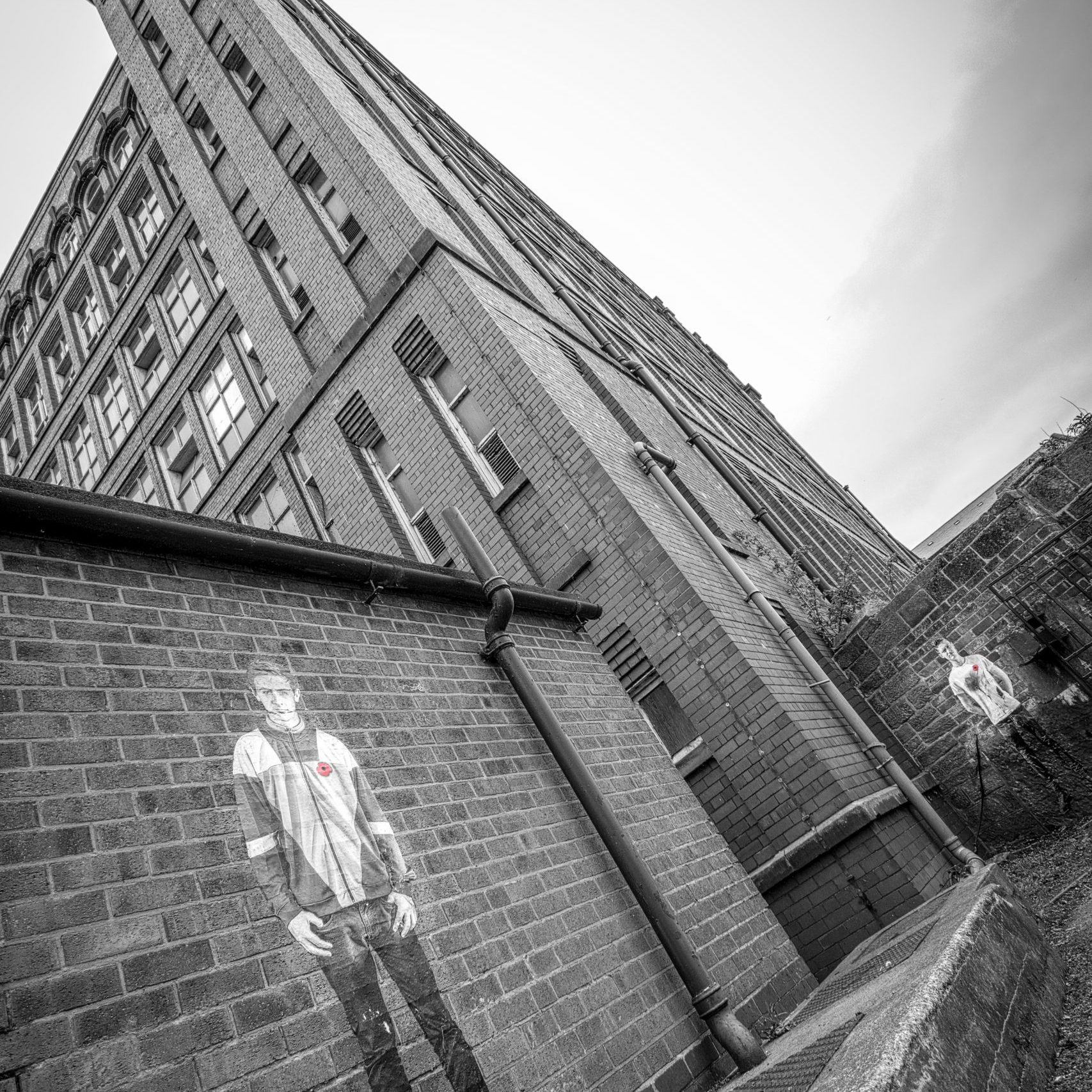 Lambs - An Installation by Andy Mayers