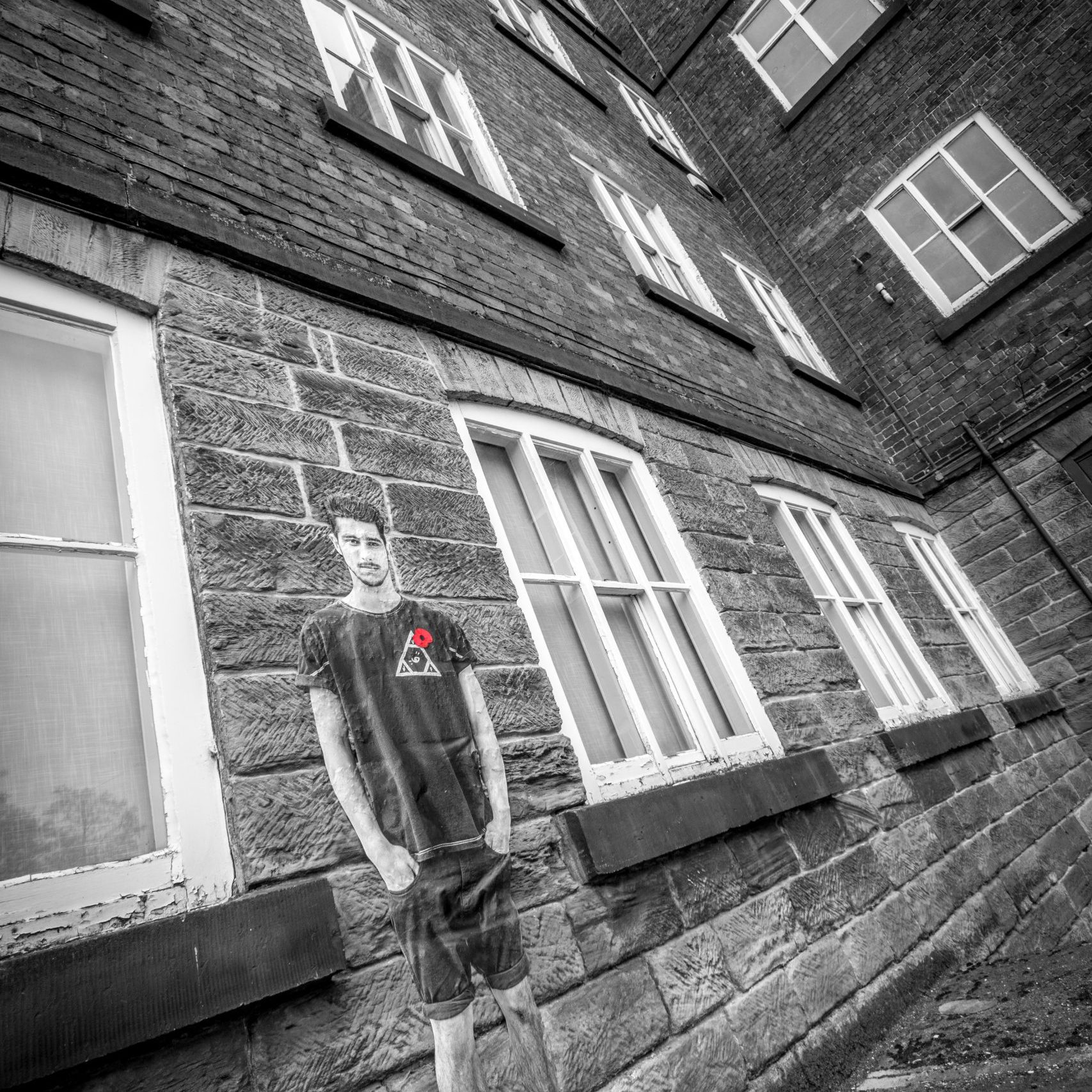 Lambs - An Installation by Andy Mayers