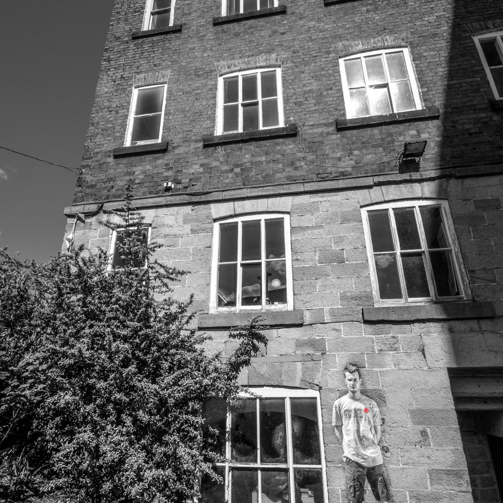 Lambs - An Installation by Andy Mayers