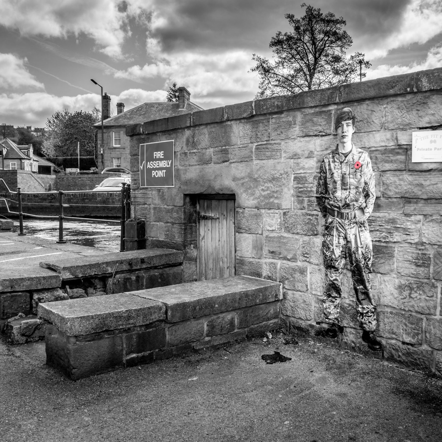 Lambs - An Installation by Andy Mayers