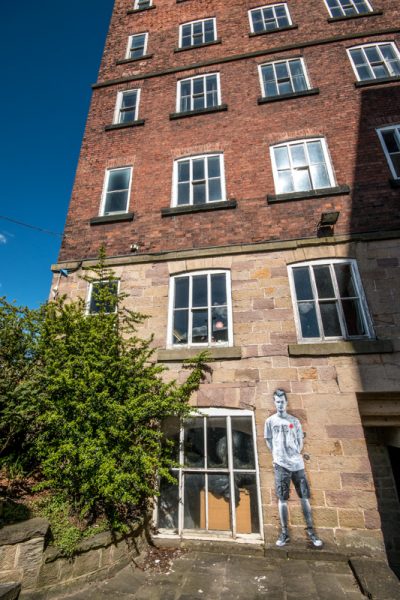 Lambs - by Andy Mayers